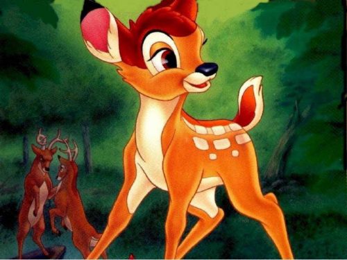 Il cerbiatto Bambi ha perso il suo “papà”